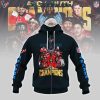 Houston Texans Back To AFC South Division Champions 2024 Hoodie T-Shirt