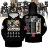 Pittsburgh Steelers AFC North Champs 2024 The Big Fan Hoodie T-Shirt