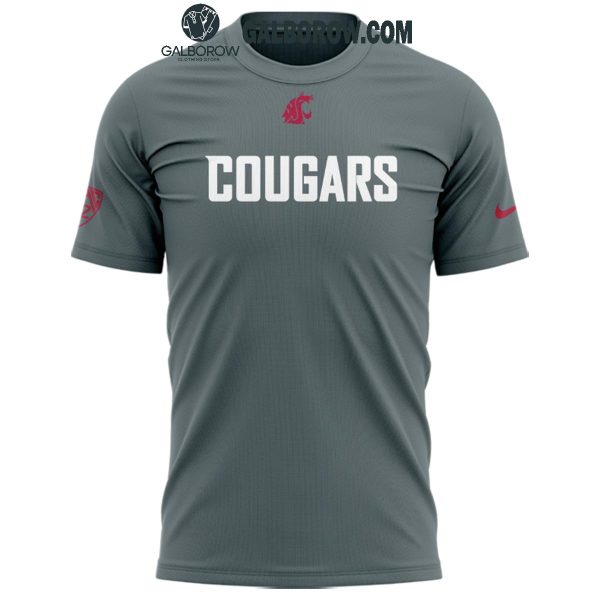 Washington State Football 2024 Limited Edition Grey Hoodie