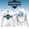 Detroit Lions Play Offs 2024 Black One Pride Hoodie T-Shirt